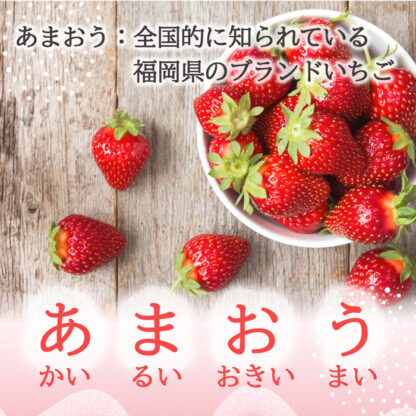 あまおうパウダー入りチョコレート 福岡県産 20g - 画像 (2)